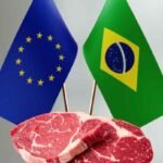 UE VÊ DIFÍCIL RETOMADA DA CARNE BOVINA BRASILEIRA EM MENOS DE DOIS ANOS